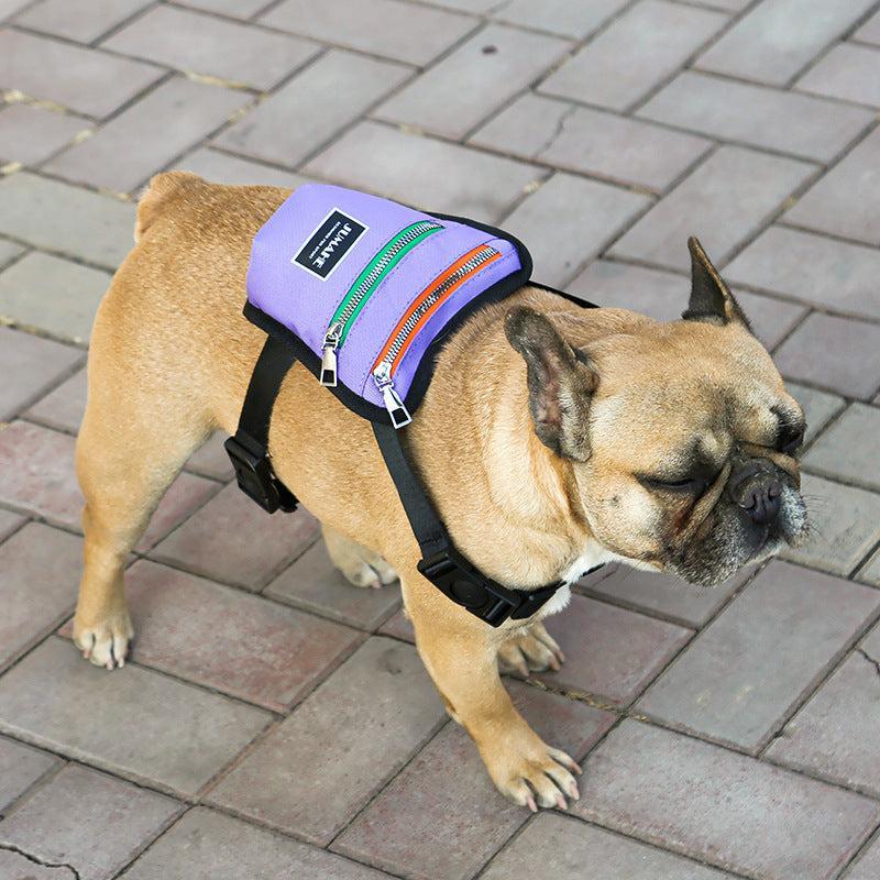 🐕🌳 Productos para Mascotas al Aire Libre: Seguridad, Libertad y Comodidad en Cada Paseo - EliteMascotas