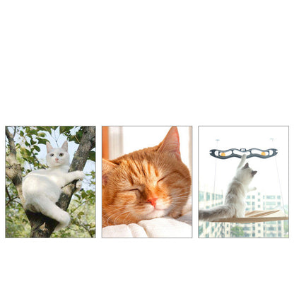 Luxury Window Cat Hammock – Cozy Suction-Cup Perch for Indoor Cats