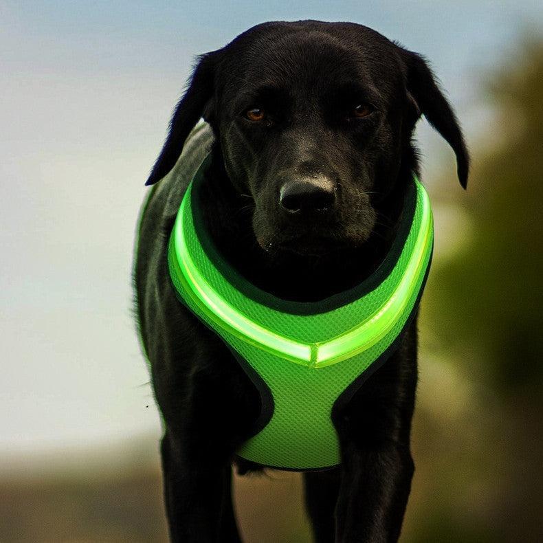 Arnés LED para Perros, Carga USB Segura – Visibilidad y Seguridad en Cada Paseo Nocturno 🐾🌟 - EliteMascotas