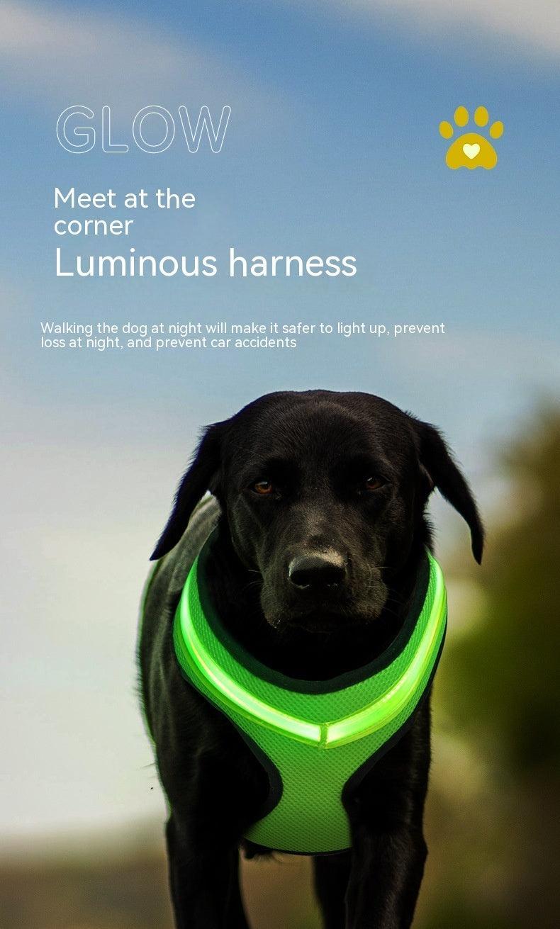 Arnés LED para Perros, Carga USB Segura – Visibilidad y Seguridad en Cada Paseo Nocturno 🐾🌟 - EliteMascotas