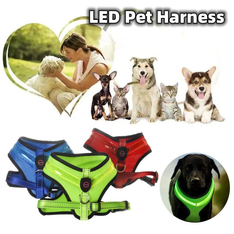 Arnés LED para Perros, Carga USB Segura – Visibilidad y Seguridad en Cada Paseo Nocturno 🐾🌟 - EliteMascotas