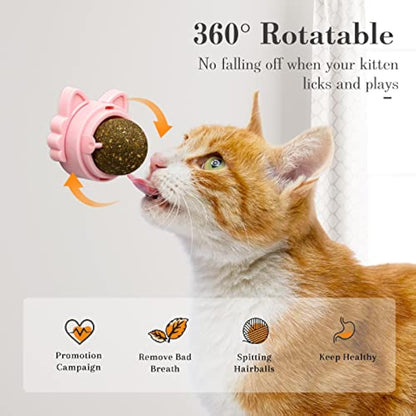 🌿 Bolas de Catnip Adhesivas para Gatos – Diversión, Salud y Bienestar en Cada Lamida 🐱🌿✨ - EliteMascotas