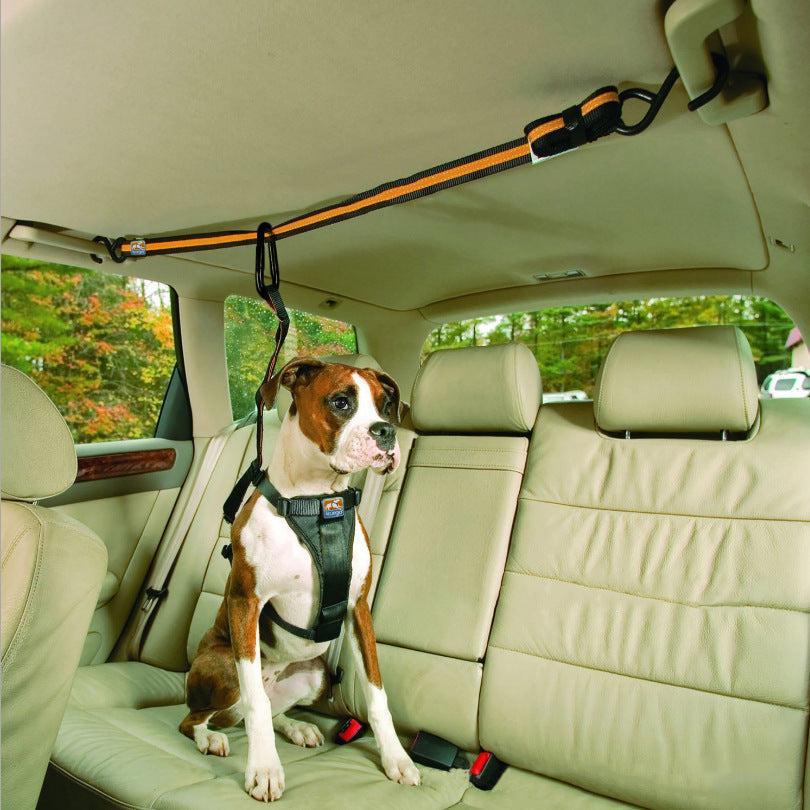 🌿 Cinturón de Seguridad para Mascotas - Lanyard de Coche Dual 🐾🚗🔑 – Seguridad y Practicidad en un Solo Accesorio - EliteMascotas