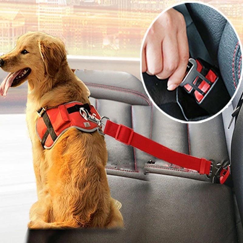 Cinturón de Seguridad para Mascotas en Coche – Seguridad y Comodidad en Cada Viaje 🚗🐾 - EliteMascotas