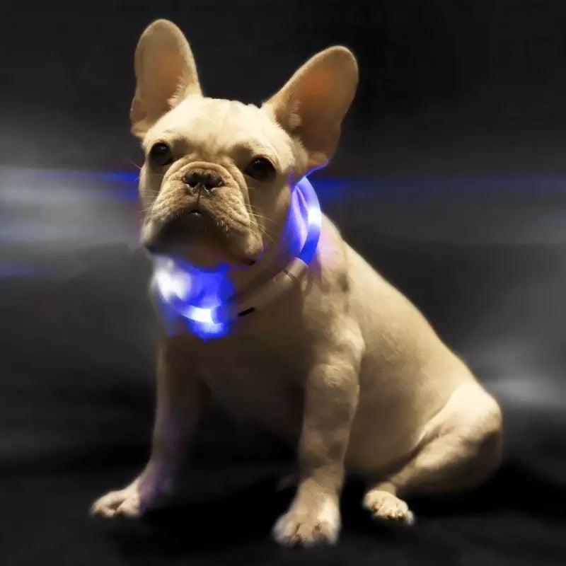 Collar Inteligente LED Antipérdida para Mascotas – Seguridad y Visibilidad durante la Noche 🌟🐾 - EliteMascotas