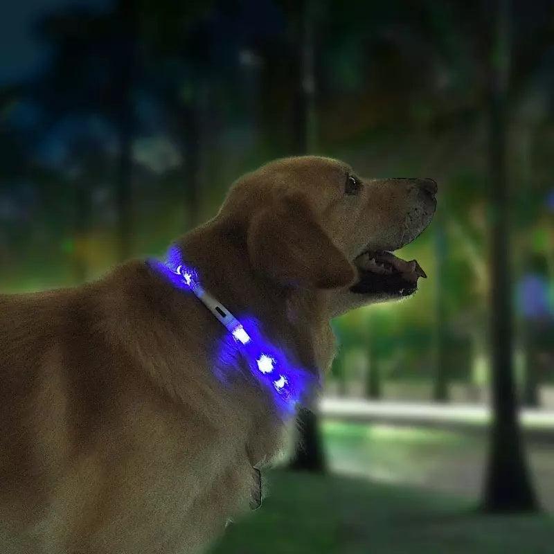 Collar Inteligente LED Antipérdida para Mascotas – Seguridad y Visibilidad durante la Noche 🌟🐾 - EliteMascotas