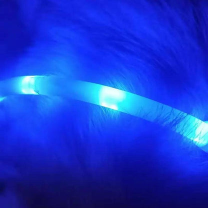 Collar Inteligente LED Antipérdida para Mascotas – Seguridad y Visibilidad durante la Noche 🌟🐾 - EliteMascotas