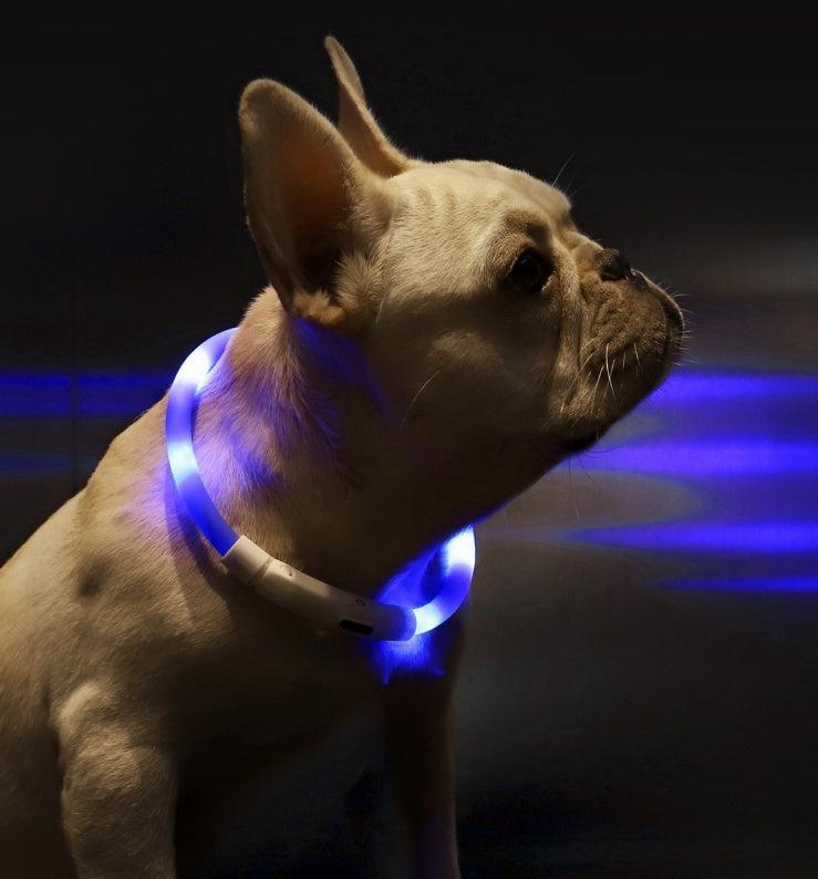Collar Inteligente LED Antipérdida para Mascotas – Seguridad y Visibilidad durante la Noche 🌟🐾 - EliteMascotas