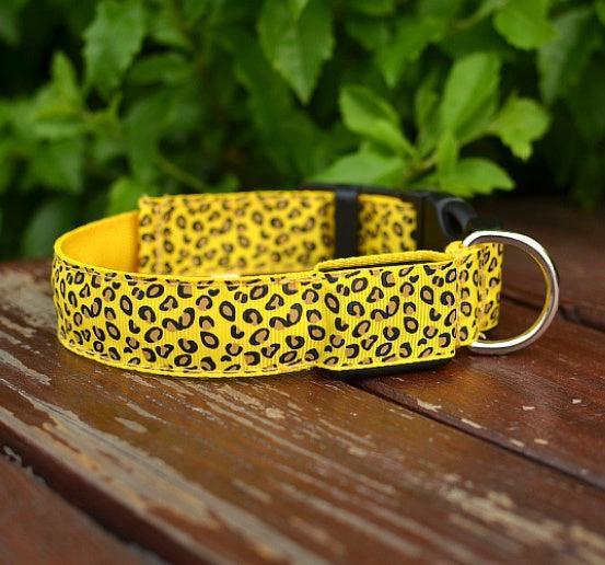 Collar LED de Leopardo para Seguridad Nocturna 🐾🌙 - EliteMascotas