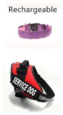 Collar LED de Leopardo para Seguridad Nocturna 🐾🌙 - EliteMascotas