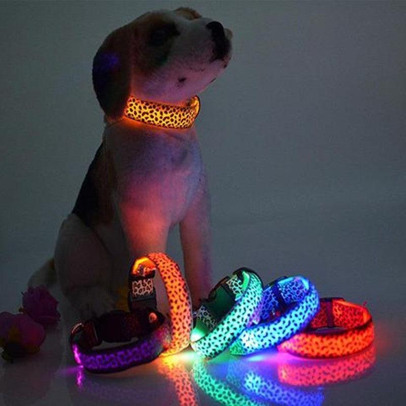 Collar LED de Leopardo para Seguridad Nocturna 🐾🌙 - EliteMascotas