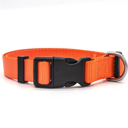 Collar Versátil de Nylon para Mascotas Seguras 🐾 - EliteMascotas