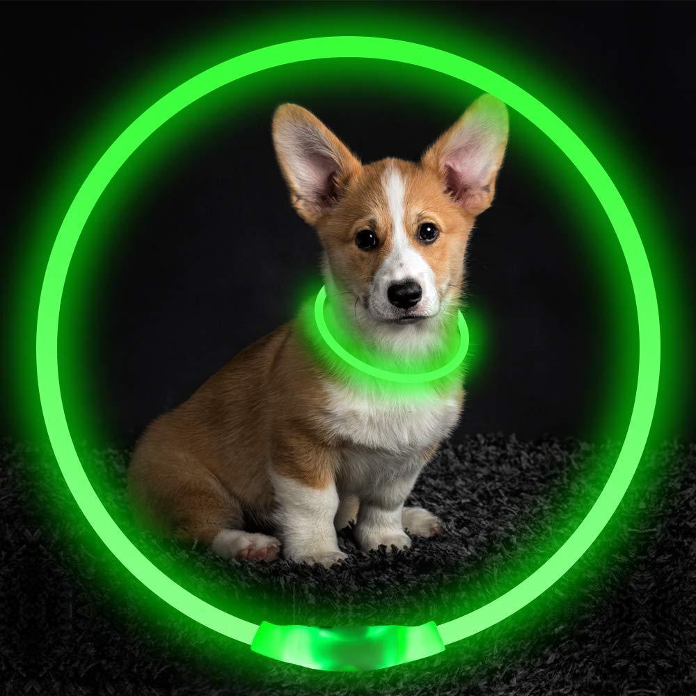 Collar de Seguridad Neón USB Recargable – Visibilidad y protección total en cada paseo nocturno 🌟🐾 - EliteMascotas