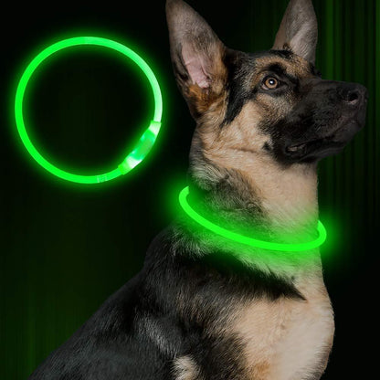 Collar de Seguridad Neón USB Recargable – Visibilidad y protección total en cada paseo nocturno 🌟🐾 - EliteMascotas