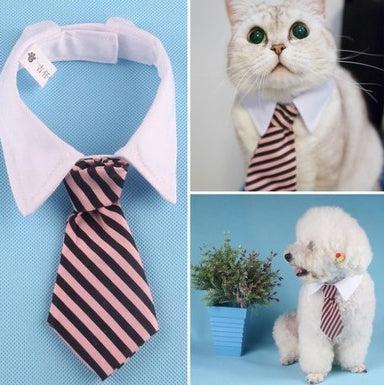 Corbata de Moño con Estampado para Mascotas – ¡Elegancia y diversión para tu compañero peludo! 🎀🐾 - EliteMascotas