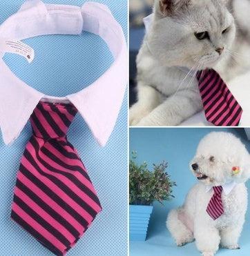 Corbata de Moño con Estampado para Mascotas – ¡Elegancia y diversión para tu compañero peludo! 🎀🐾 - EliteMascotas