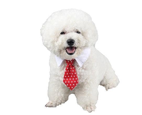 Corbata de Moño con Estampado para Mascotas – ¡Elegancia y diversión para tu compañero peludo! 🎀🐾 - EliteMascotas
