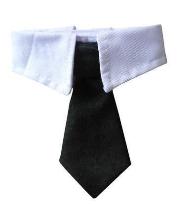 Corbata de Moño con Estampado para Mascotas – ¡Elegancia y diversión para tu compañero peludo! 🎀🐾 - EliteMascotas