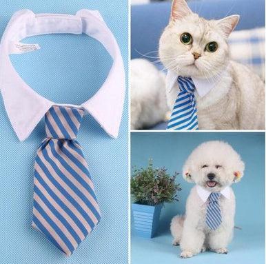 Corbata de Moño con Estampado para Mascotas – ¡Elegancia y diversión para tu compañero peludo! 🎀🐾 - EliteMascotas