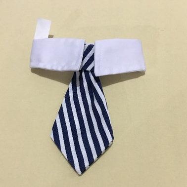 Corbata de Moño con Estampado para Mascotas – ¡Elegancia y diversión para tu compañero peludo! 🎀🐾 - EliteMascotas