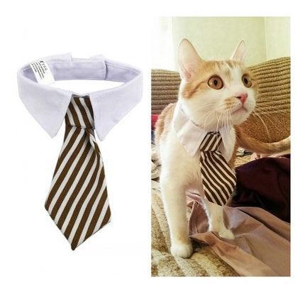 Corbata de Moño con Estampado para Mascotas – ¡Elegancia y diversión para tu compañero peludo! 🎀🐾 - EliteMascotas