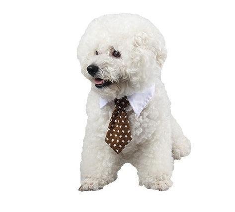 Corbata de Moño con Estampado para Mascotas – ¡Elegancia y diversión para tu compañero peludo! 🎀🐾 - EliteMascotas