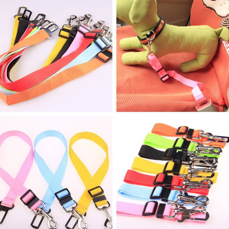 🌿 Correa Fija para Mascotas de Coche – Seguridad y Confort en Cada Viaje 🚗🐾✨ - EliteMascotas
