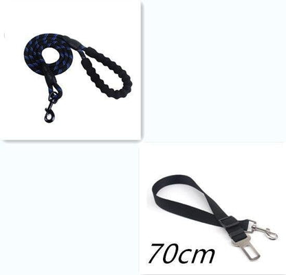Correa Reflectante de Nylon para Paseos Seguros – Paseos Confortables y Visibles 🌟🐾 - EliteMascotas