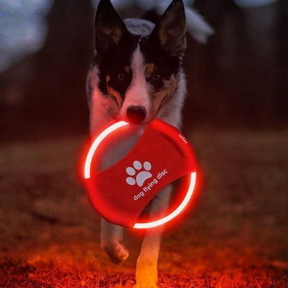Disco Volador LED Recargable para Mascotas Activas – Diversión brillante y saludable para tu perro 🐶✨🌙 - EliteMascotas