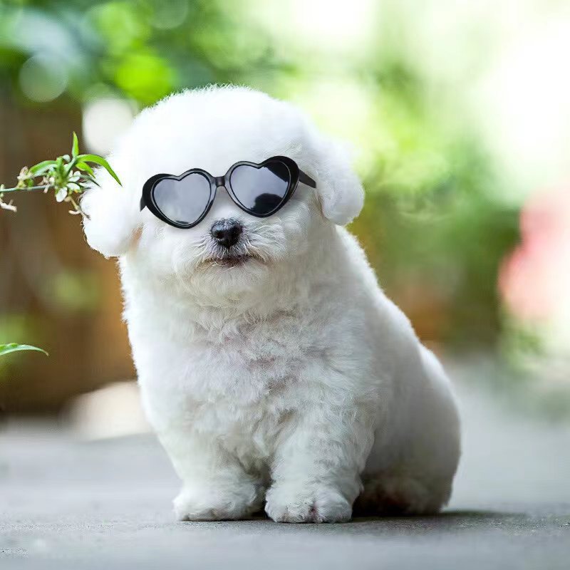 🕶️ Gafas de Sol para Mascotas – Estilo y Protección para Perros y Gatos con Mucha Personalidad 🐾✨ - EliteMascotas