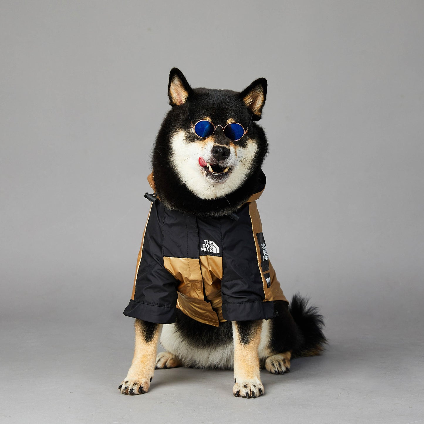 Impermeable para Perros Grandes: Chaqueta Protectora – Protección y Comodidad en Clima Lluvioso 🌧️🐕 - EliteMascotas