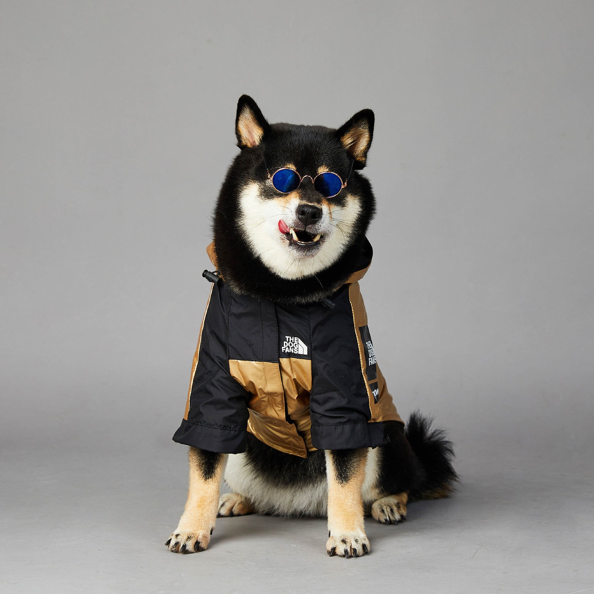 Impermeable para Perros Grandes: Chaqueta Protectora – Protección y Comodidad en Clima Lluvioso 🌧️🐕 - EliteMascotas