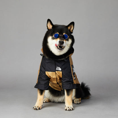 Impermeable para Perros Grandes: Chaqueta Protectora – Protección y Comodidad en Clima Lluvioso 🌧️🐕 - EliteMascotas