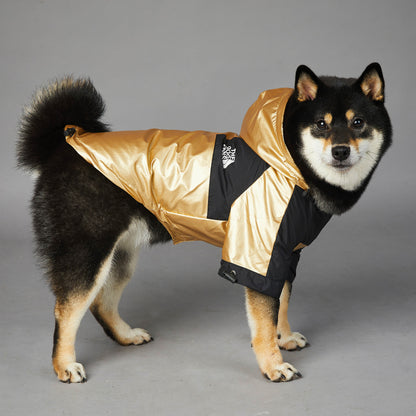 Impermeable para Perros Grandes: Chaqueta Protectora – Protección y Comodidad en Clima Lluvioso 🌧️🐕 - EliteMascotas