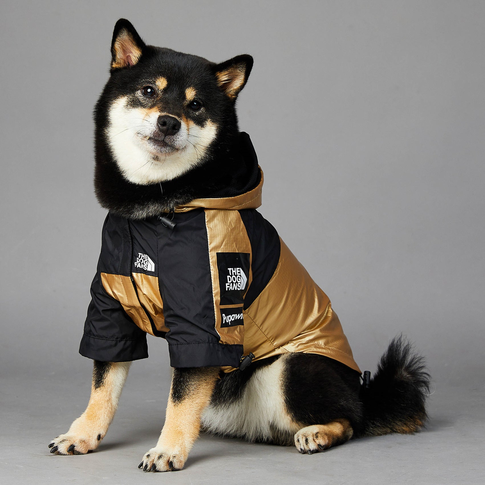Impermeable para Perros Grandes: Chaqueta Protectora – Protección y Comodidad en Clima Lluvioso 🌧️🐕 - EliteMascotas