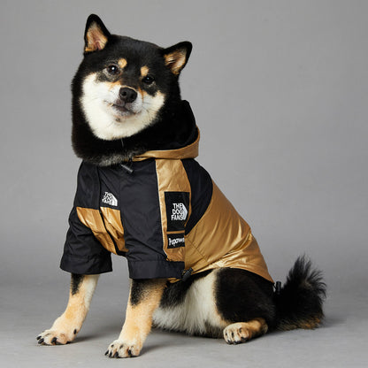 Impermeable para Perros Grandes: Chaqueta Protectora – Protección y Comodidad en Clima Lluvioso 🌧️🐕 - EliteMascotas