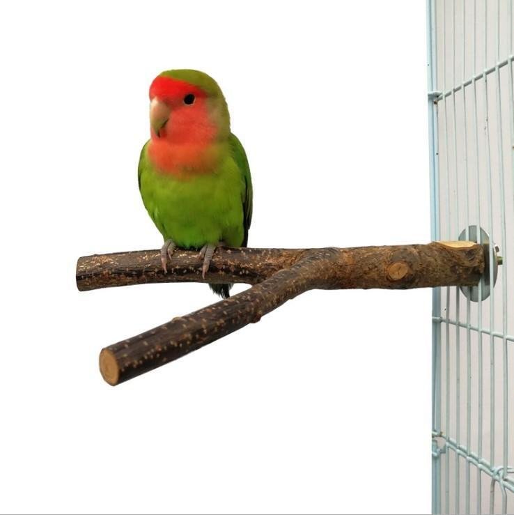 🌿 Jaula para Aves con Juguete de Ratán – Espacio Seguro y Divertido para Aves Pequeñas y Medianas 🐦🌿 - EliteMascotas