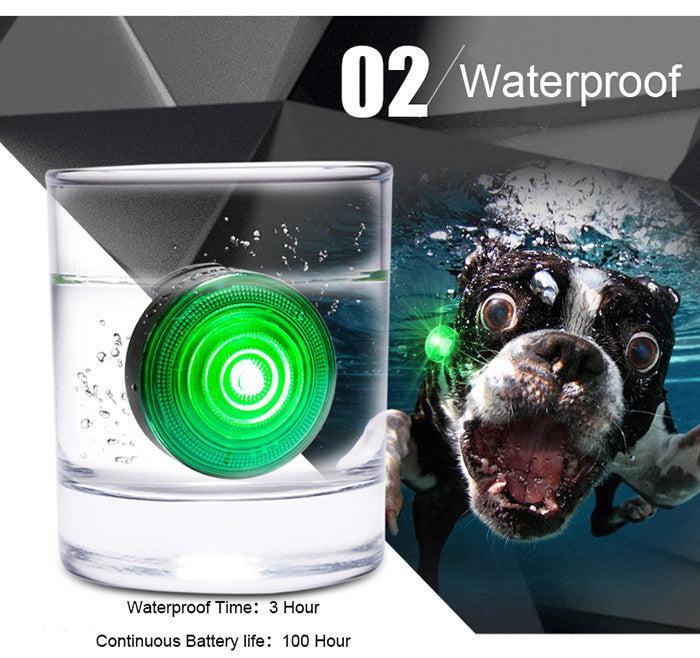 🌿 Luz Antipérdida Nocturna para Perros – Seguridad y Visibilidad en Cada Paseo Nocturno 🐶✨🌙 - EliteMascotas