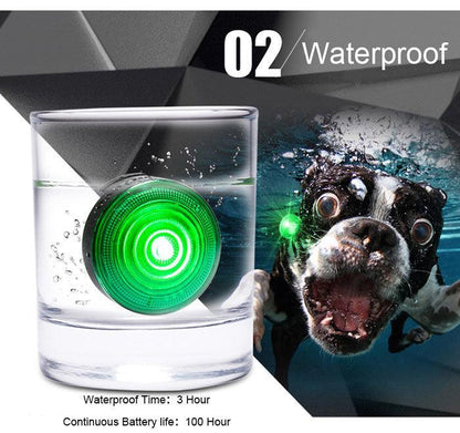 🌿 Luz Antipérdida Nocturna para Perros – Seguridad y Visibilidad en Cada Paseo Nocturno 🐶✨🌙 - EliteMascotas