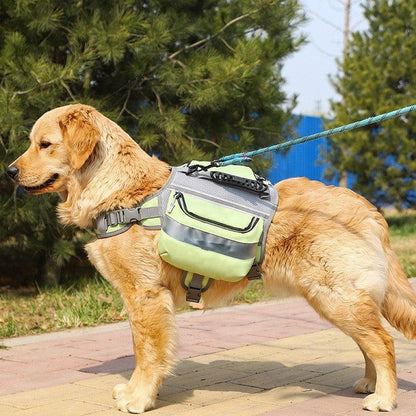🌿 Mochila Grande para Perros al Aire Libre – Libertad, Seguridad y Estilo en Cada Aventura 🐶🎒🌲 - EliteMascotas