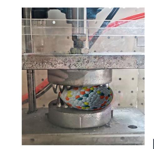 Pelota Dental Interactiva para Perros – Juego, salud y diversión en cada mordida 🐶🦷🎾 - EliteMascotas