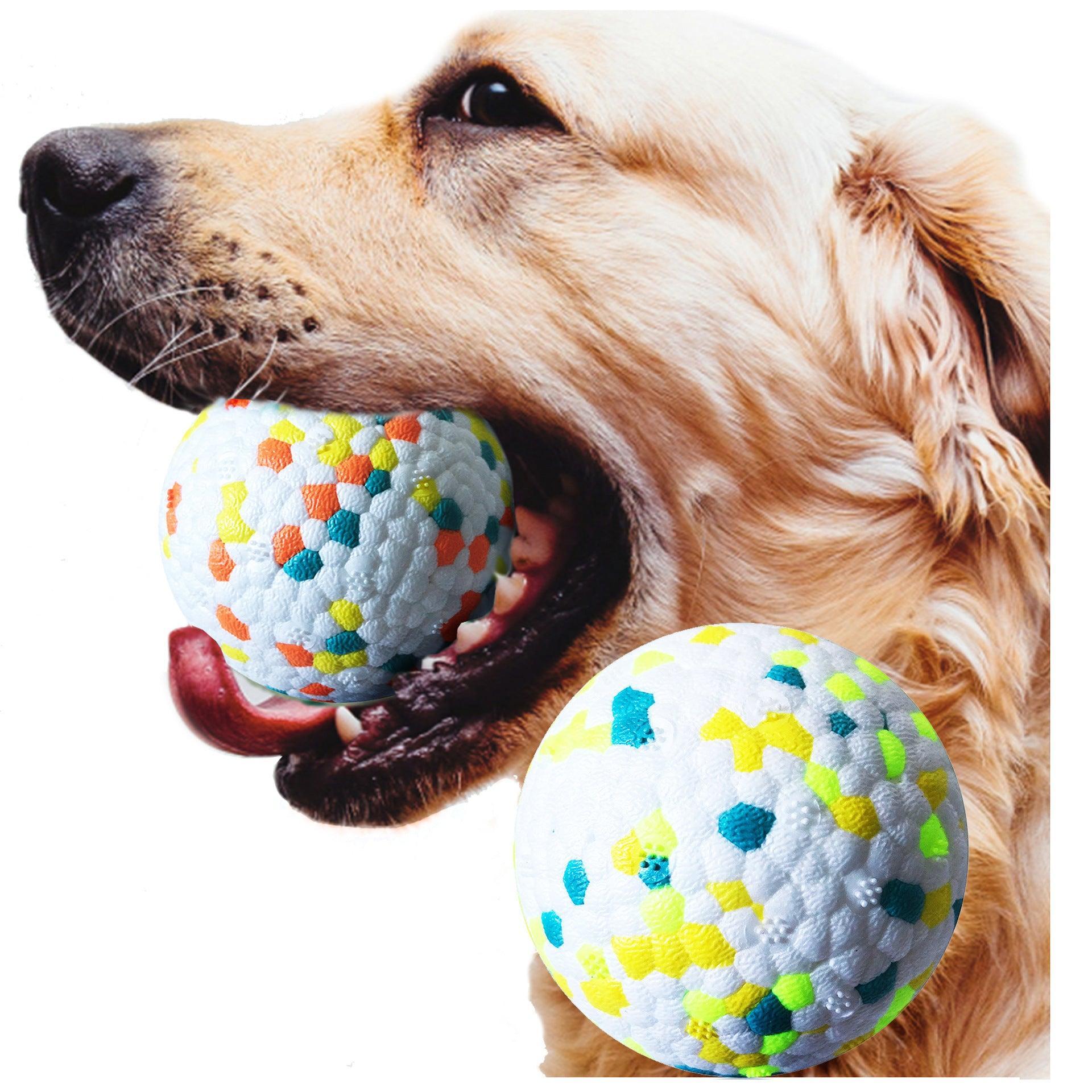 Pelota Dental Interactiva para Perros – Juego, salud y diversión en cada mordida 🐶🦷🎾 - EliteMascotas