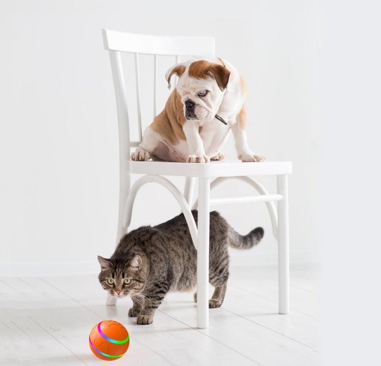 Pelota Inteligente para Gatos Juguetones – Tecnología, diversión y salud en un solo juguete 🐾⚙️✨ - EliteMascotas