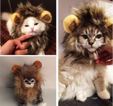 Sombrero Divertido de León para Mascotas Pequeñas 🦁🎉 - EliteMascotas