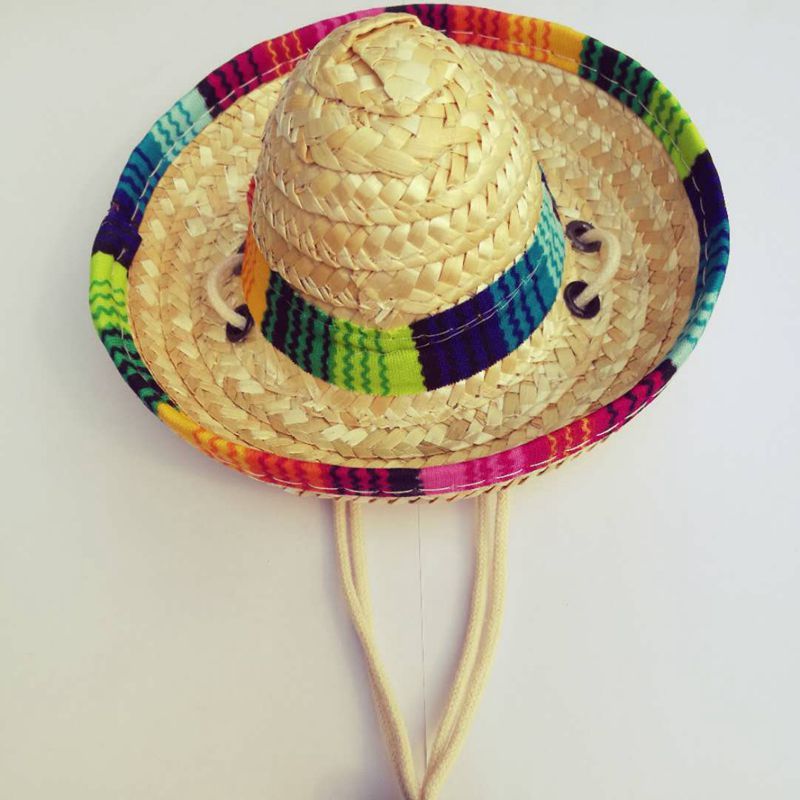 Sombrero de Paja Hecho a Mano para Mascotas – ¡Estilo y frescura para tu peludo! 🌞🐾 - EliteMascotas