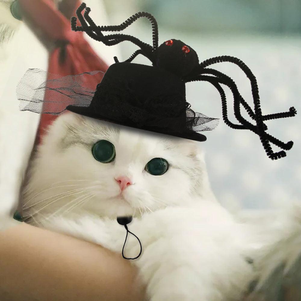 🌿Sombrero para Mascotas con Pelo Rizado - Divertido para Gatos 🐱🎩✨ – ¡Dale a tu gato un look inolvidable! - EliteMascotas