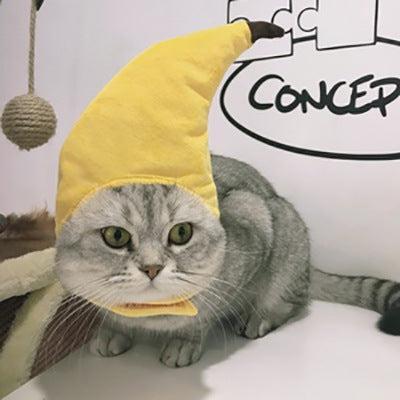 🌿Sombrero para Mascotas con Pelo Rizado - Divertido para Gatos 🐱🎩✨ – ¡Dale a tu gato un look inolvidable! - EliteMascotas