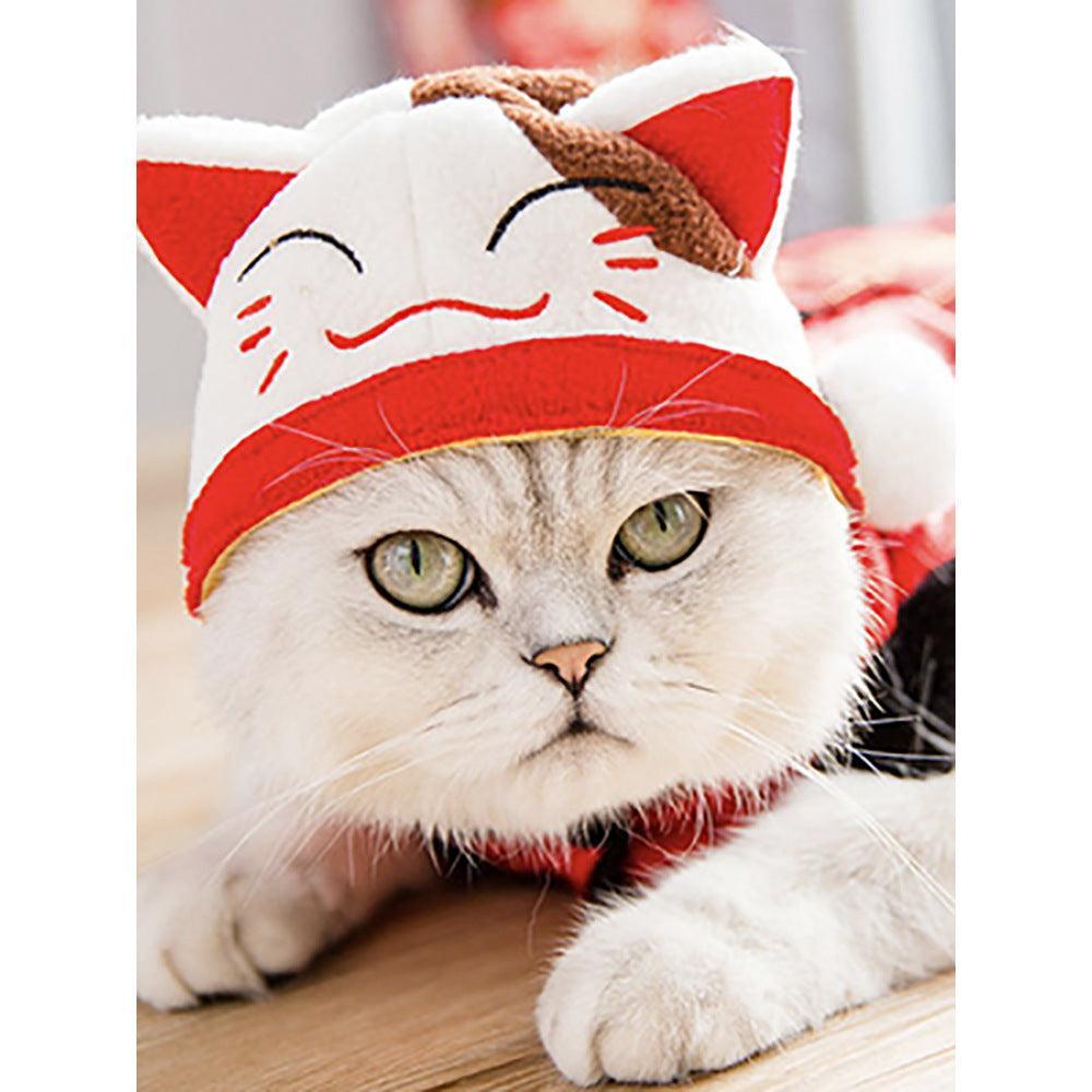 🌿Sombrero para Mascotas con Pelo Rizado - Divertido para Gatos 🐱🎩✨ – ¡Dale a tu gato un look inolvidable! - EliteMascotas