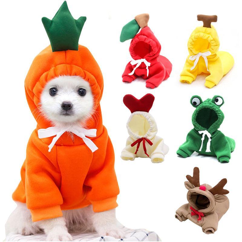 Sudadera Frutal para Perros Pequeños en Invierno – Estilo, Calidez y Comodidad para los Días Fríos 🍊🐶 - EliteMascotas