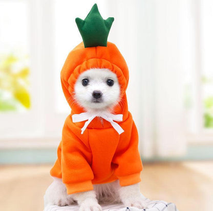 Sudadera Frutal para Perros Pequeños en Invierno – Estilo, Calidez y Comodidad para los Días Fríos 🍊🐶 - EliteMascotas